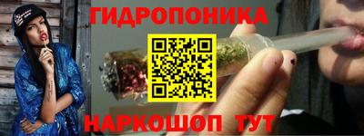 гашик Будённовск