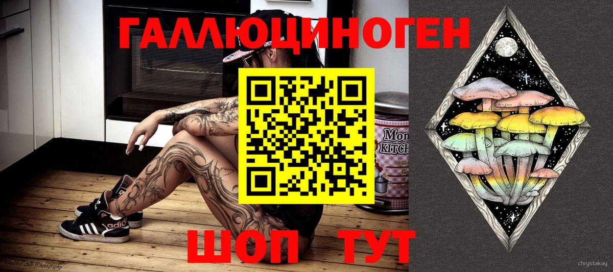 Псилоцибиновые грибы Psilocybine cubensis  Вход с VPN  Тында 