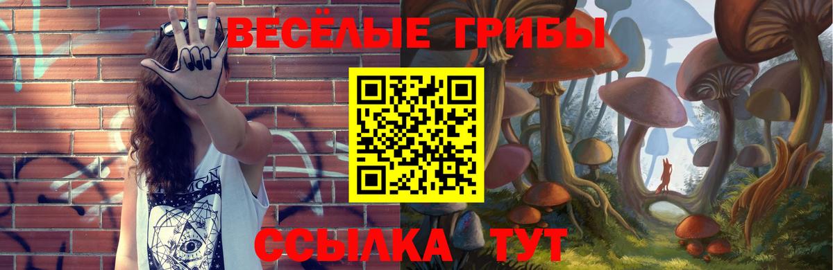 Псилоцибиновые грибы Magic Shrooms Тында